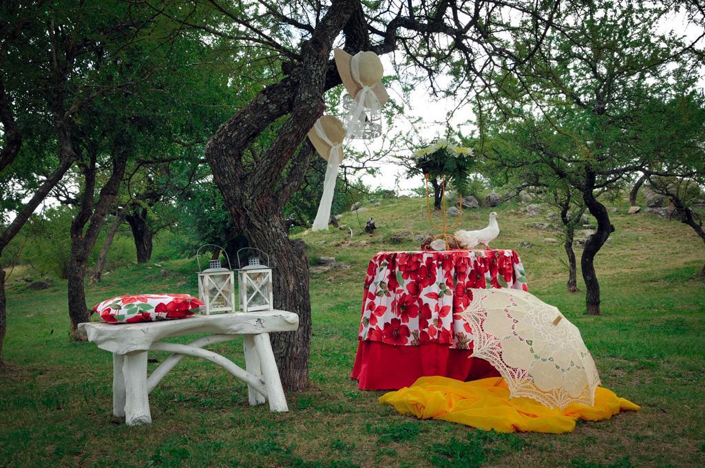 Propuestas, detalles y colores